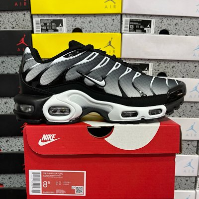 Nike Air Max Plus TN “Black / White Gradient”